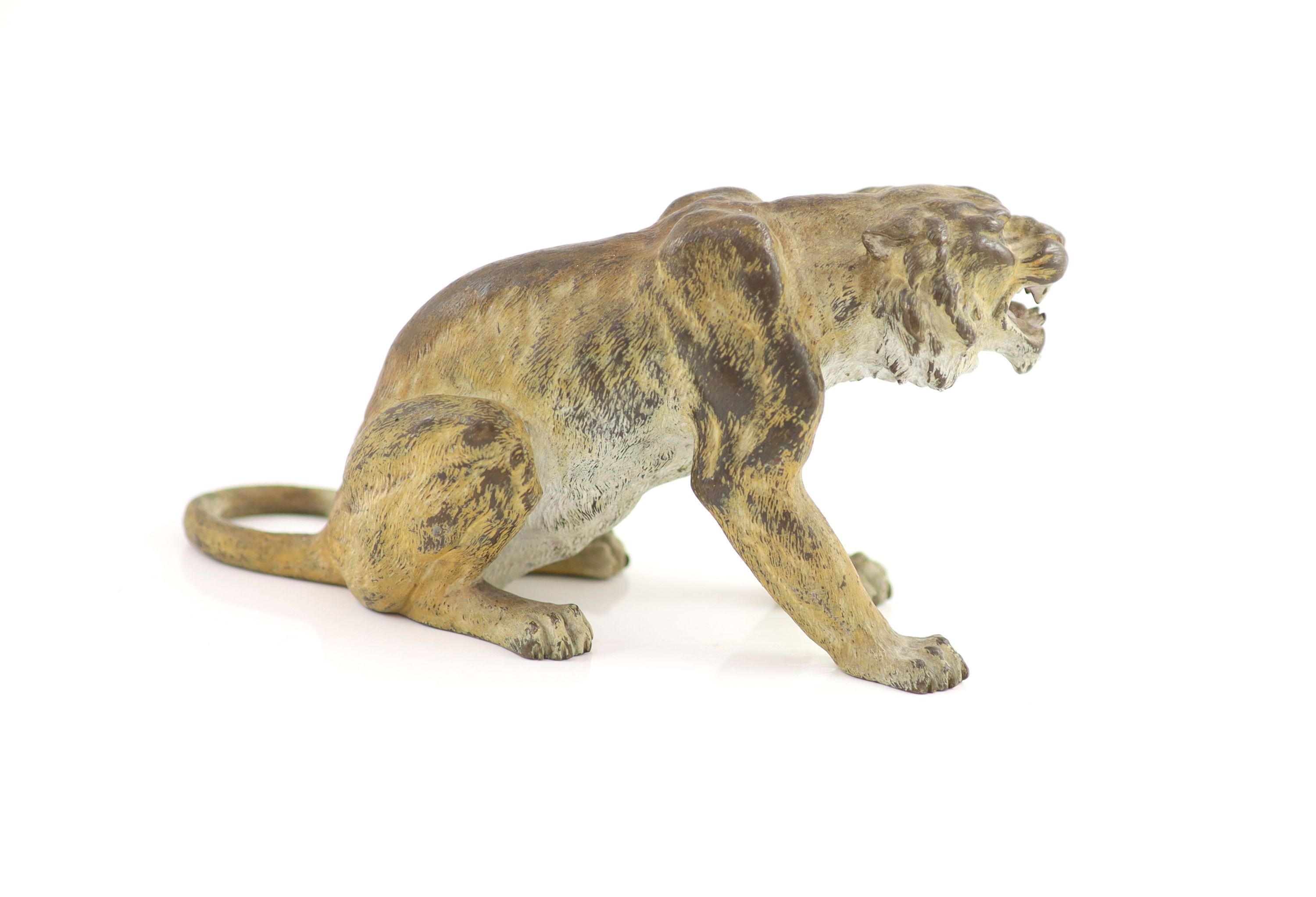 A Franz Bergman cold painted bronze model of a snarling tiger H 10cm. L 19cm.